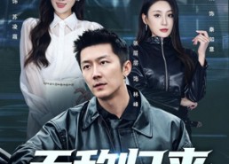 【无敌归来，我的姐姐风华绝代】70集精彩短剧全集在线观看