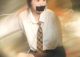 【归家的路】80集高清短剧在线即看