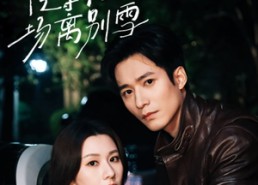 【京城之等待一场离别雪】42集在线免费短剧全集享