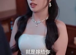 【贤妻凶猛】60集短剧在线全集免费观