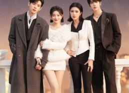 【婚婚逢她未删减版】59集短剧免费高清在线观看