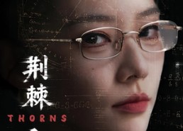 【荆棘入室】71集短剧在线免费高清追看