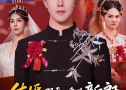 【结婚那天，身为新郎的我被告上法庭】59集精彩短剧免费在线欣赏