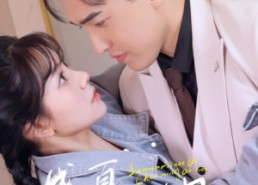 【盛夏不如她迷人】80集短剧免费在线观看全集