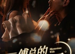 【傅总的神秘妻子】100集在线短剧免费速看