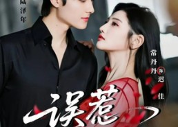 【误惹不良人】65集全网热播短剧免费看