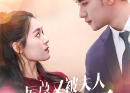 【厉总又被夫人拿捏了】82集短剧在线高清观看