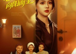 【心冷之后，向阳而生】60集短剧完整版免费观看