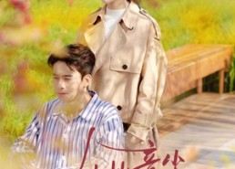 【从此音尘各悄然】72集短剧在线免费全集高清赏