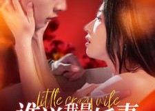 【谁说我是柔弱娇妻】99集短剧在线全集免费观