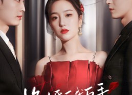 【悔婚后我反手捡了个天花板老公】81集短剧全集畅享在线看