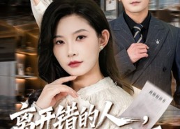 【离开错的人，她一路登顶】63集精彩短剧在线赏看
