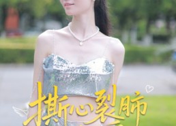 【撕心裂肺的爱】17集短剧在线免费畅快观看