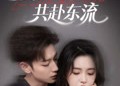【爱恨与你共赴东流】78集免费短剧全集直看