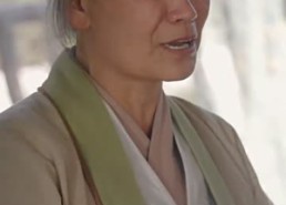 【霸道王爷的丫鬟娇妻】88集免费短剧全集赏视