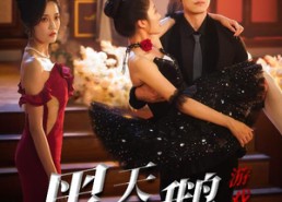 【黑天鹅游戏】60集全集短剧在线免费欣赏