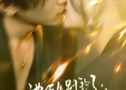 【池医生别钓了叶总他认输】80集短剧在线免费观影