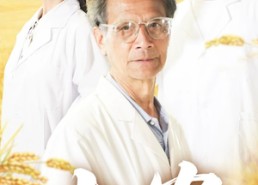 【大农】71集高清短剧免费畅享观看