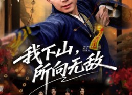 【我下山，所向无敌】64集高清短剧在线播放