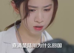 【她死遁后竟成了前夫的白月光】60集短剧免费看全集不卡顿