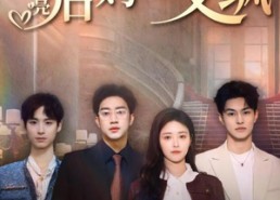 【漂亮后妈甜又飒】61集短剧全集在线观览