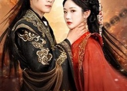 【太子妃又在耍心机】80集短剧在线免费高清观看