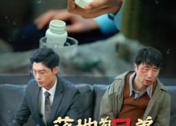 【落地为兄弟，何必骨肉亲】60集短剧免费在线畅快观看