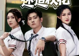 【都重生了谁还追校花】70集短剧免费在线赏看