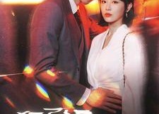 【犯了规】96集短剧在线免费观全