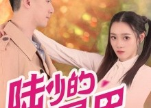 【陆少的小尾巴又萌又猛】55集短剧在线免费速看