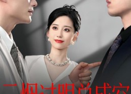 【云烟过眼，总成空&云烟过眼总成空】80集短剧全集在线无卡顿看