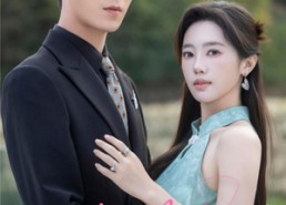 【昨日茶花】56集高清短剧在线免费看