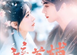 【辞首辅】80集短剧在线高清完整观看