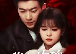 【我与玫瑰，随时为公主待命】104集短剧在线全集免费观