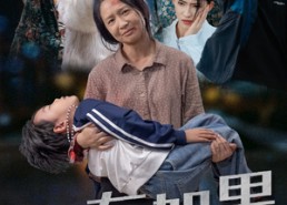 【没有如果】34集在线短剧免费观瞧