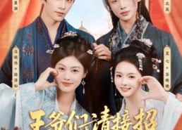 【王爷们请接招】86集短剧免费在线观看全集