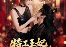 【特工王妃，穿越捡个落难王爷】119集短剧全集免费赏播