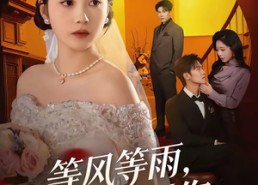 【等风等雨，等不到你】65集短剧免费在线观瞧