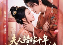 【夫人错嫁十年，改嫁皇室子凭母贵】67集高清短剧免费在线观看