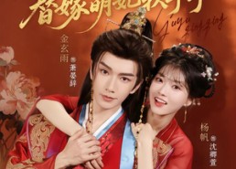 【孤与卿卿，替嫁萌妃软乎乎】82集短剧免费全集在线赏看