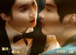 【小骗子】35集短剧全集免费即点即看