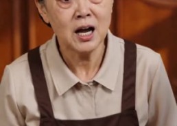 【双宝夫人不想复婚】83集短剧在线免费观享
