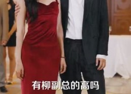 【玫瑰盛开时】81集短剧免费全集在线赏览