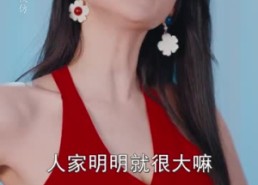 【绝世神偷】60集短剧完整版在线免费看