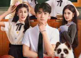 【骑驴上学2御剑飞行赶早八】66集短剧免费在线品看