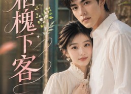 【风栖槐下客】69集优质短剧免费在线览看