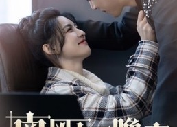 【南风知晚意】100集短剧免费高清在线观看