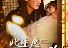 【此生愿与君陌路】100集短剧免费观看无广告