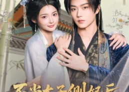 【不当太子侧妃后，我被王爷宠成宝】80集短剧免费在线全览看