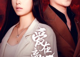 【爱在离婚进行时】61集短剧免费完整观看